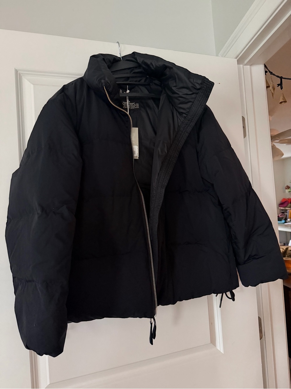 Everlane Black Puffer Jacket